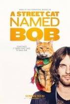 Sokak Kedisi Bob 2016 Türkçe Dublaj HD izle